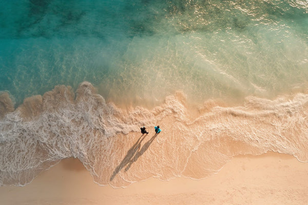 Quel est le meilleur moment pour aller à la plage : marée basse ou marée haute ?