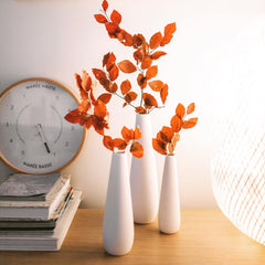 Customer gallery image