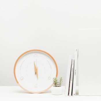 ecru barometer with plant and books in french