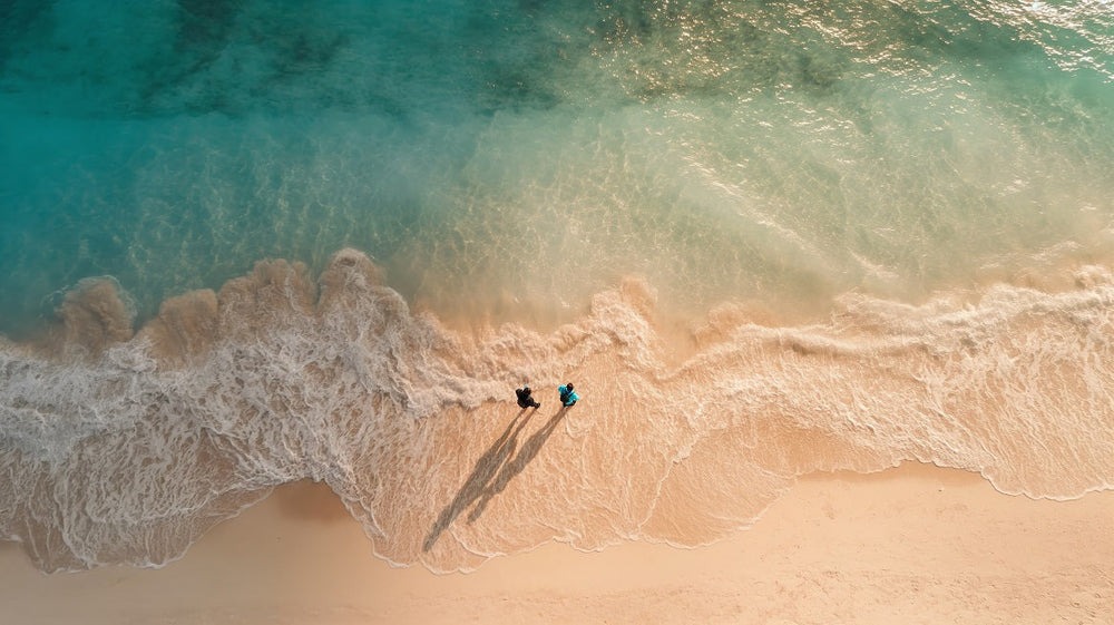 Quel est le meilleur moment pour aller à la plage : marée basse ou marée haute ?