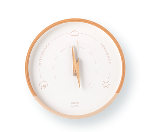 Barometer Dune