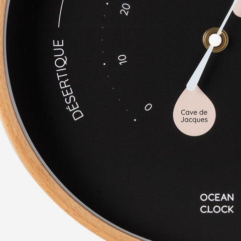 Hygrometer Black