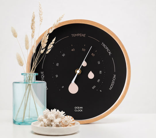 Hygrometer Black