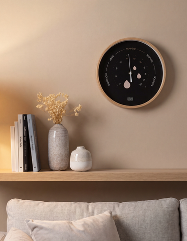 Hygrometer Black