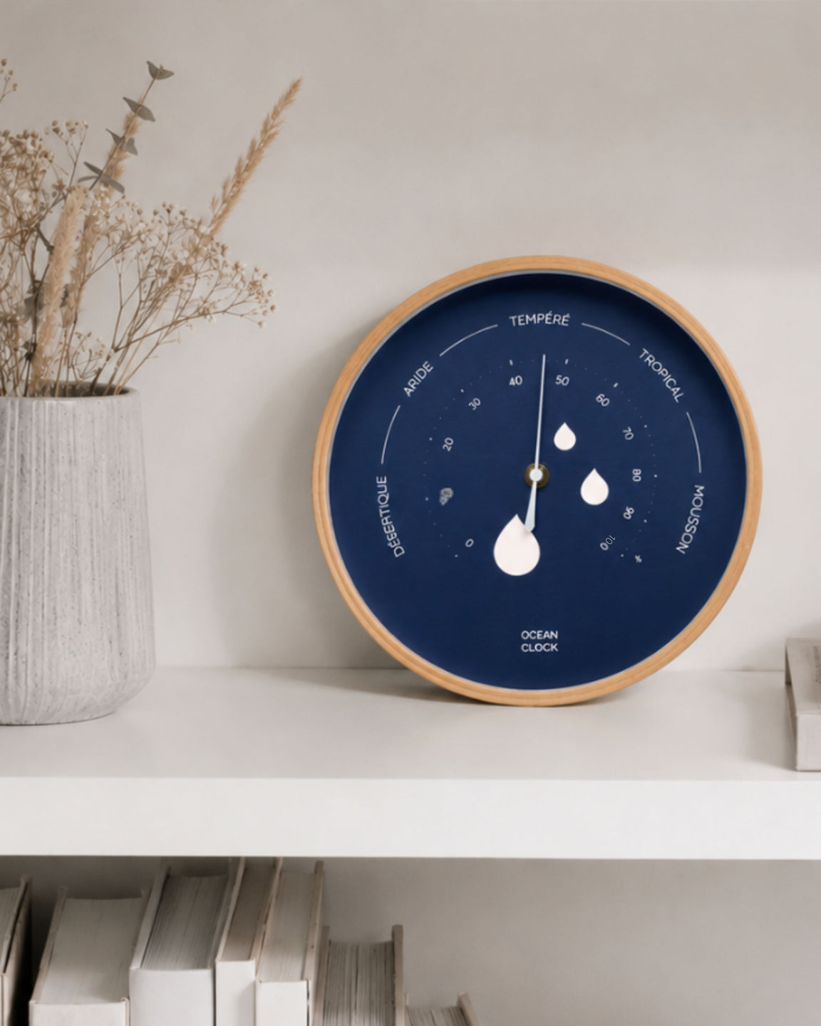 Hygrometer Marine