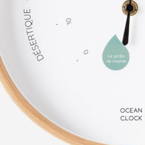 Hygrometer Oyster