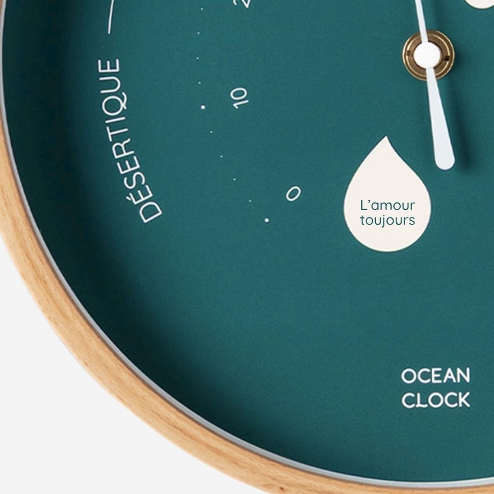 Hygrometer Sailor