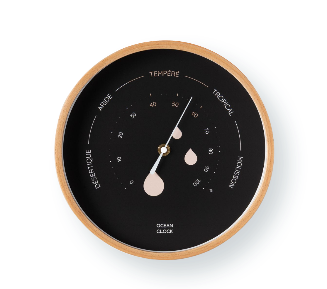 Hygrometer Black
