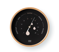 Hygrometer Black
