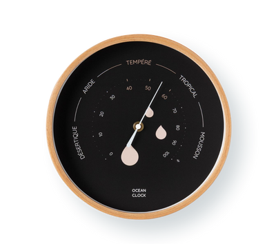 Hygrometer Black