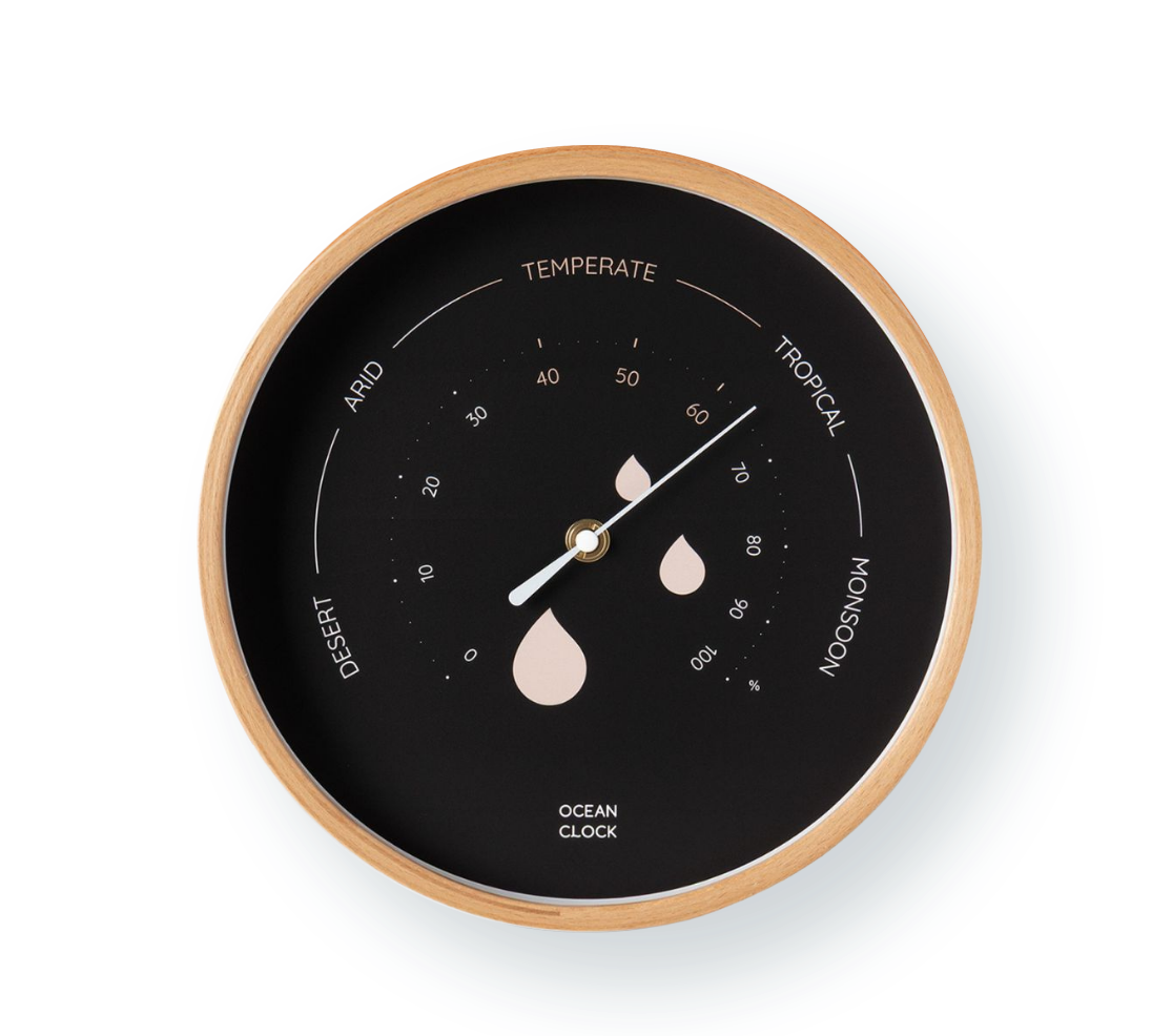 Hygrometer Black