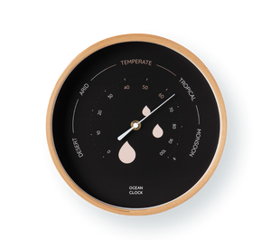 Hygrometer Black