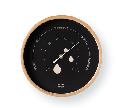 Hygrometer Black