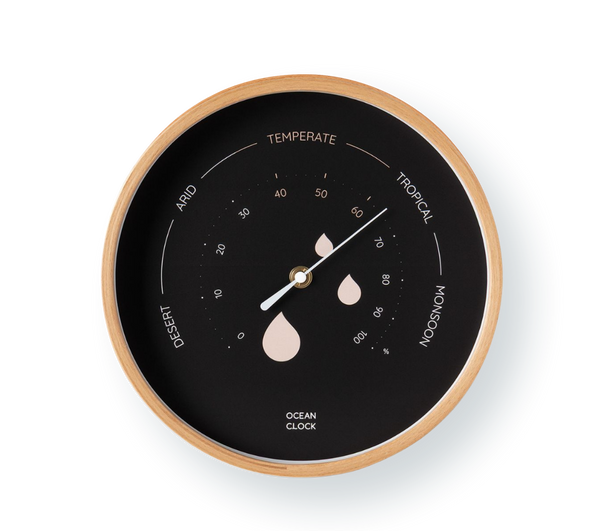 Hygrometer Black