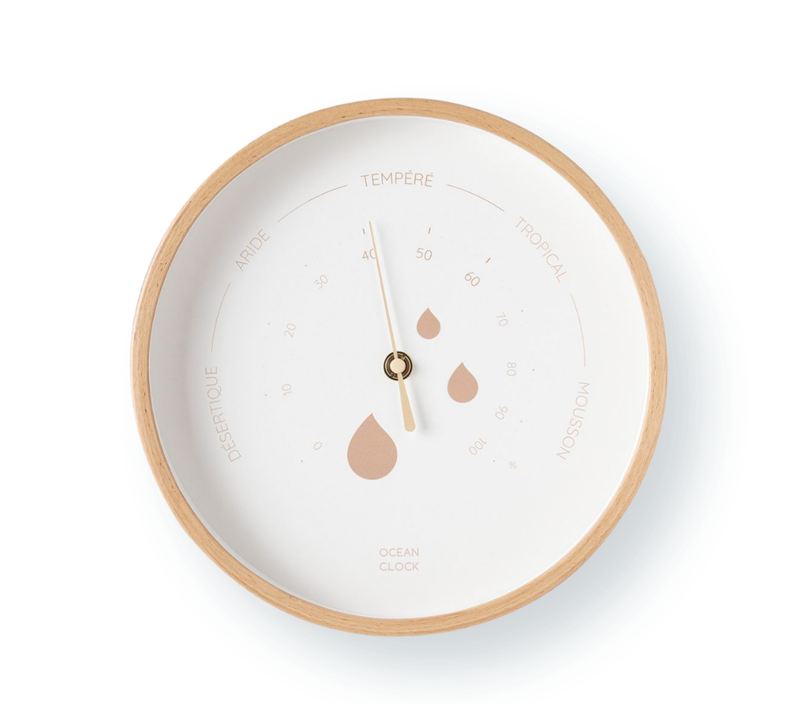 Hygrometer Dune 
