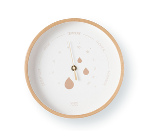 Hygrometer Dune 