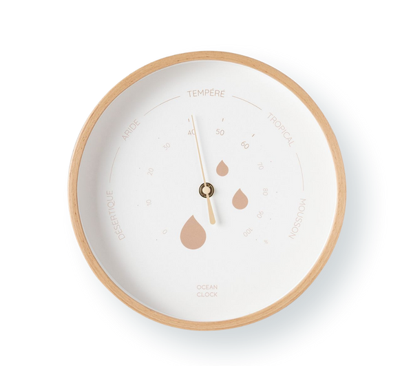 Hygrometer Dune 