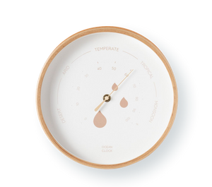 Hygrometer Dune 