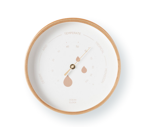 Hygrometer Dune 