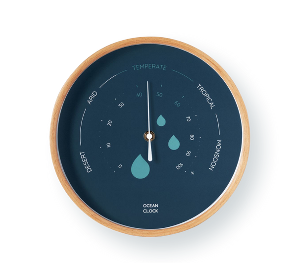 Hygrometer Storm