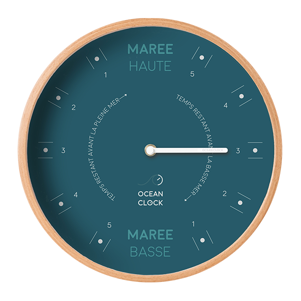 Horloge de marée, testeur de coquille en cuivre marine pour